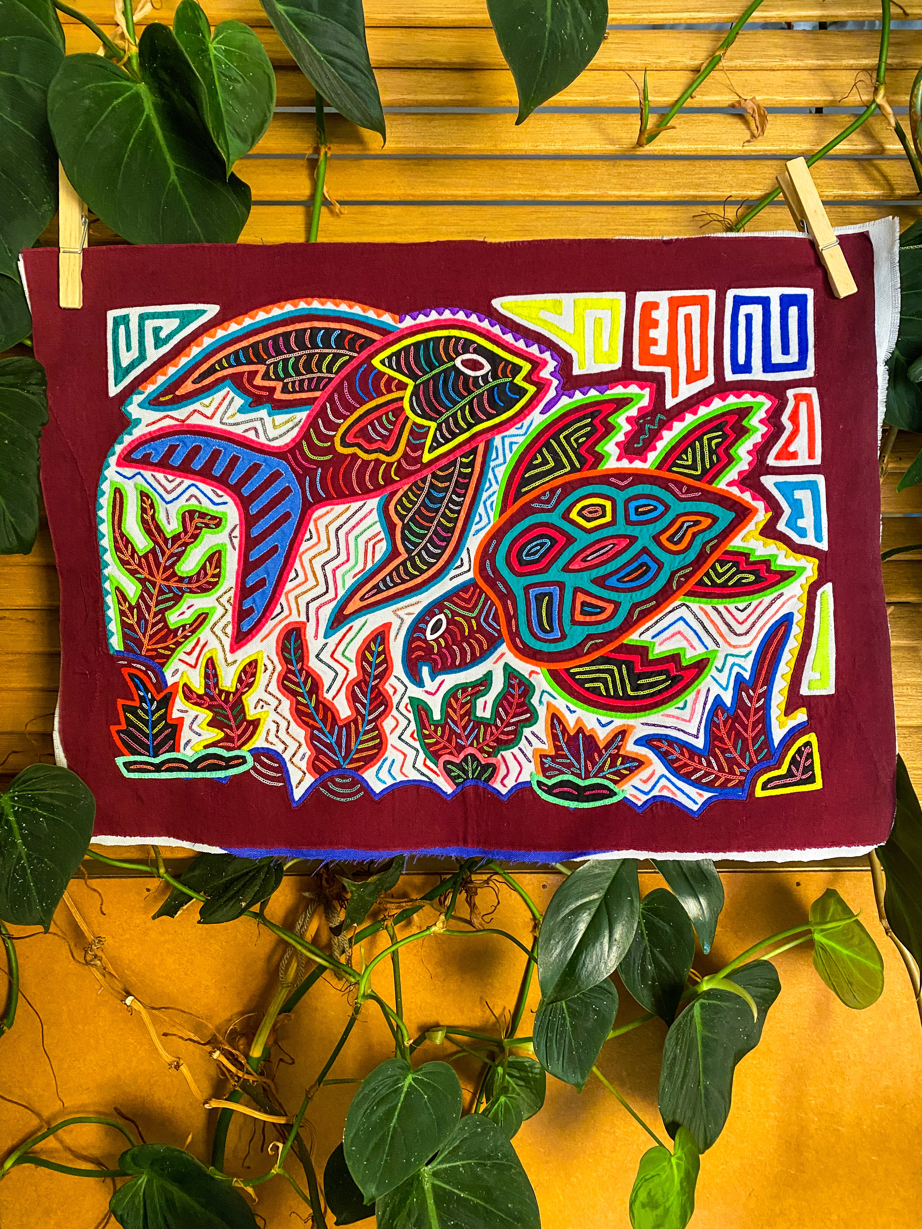 Fish & Turtle Mola