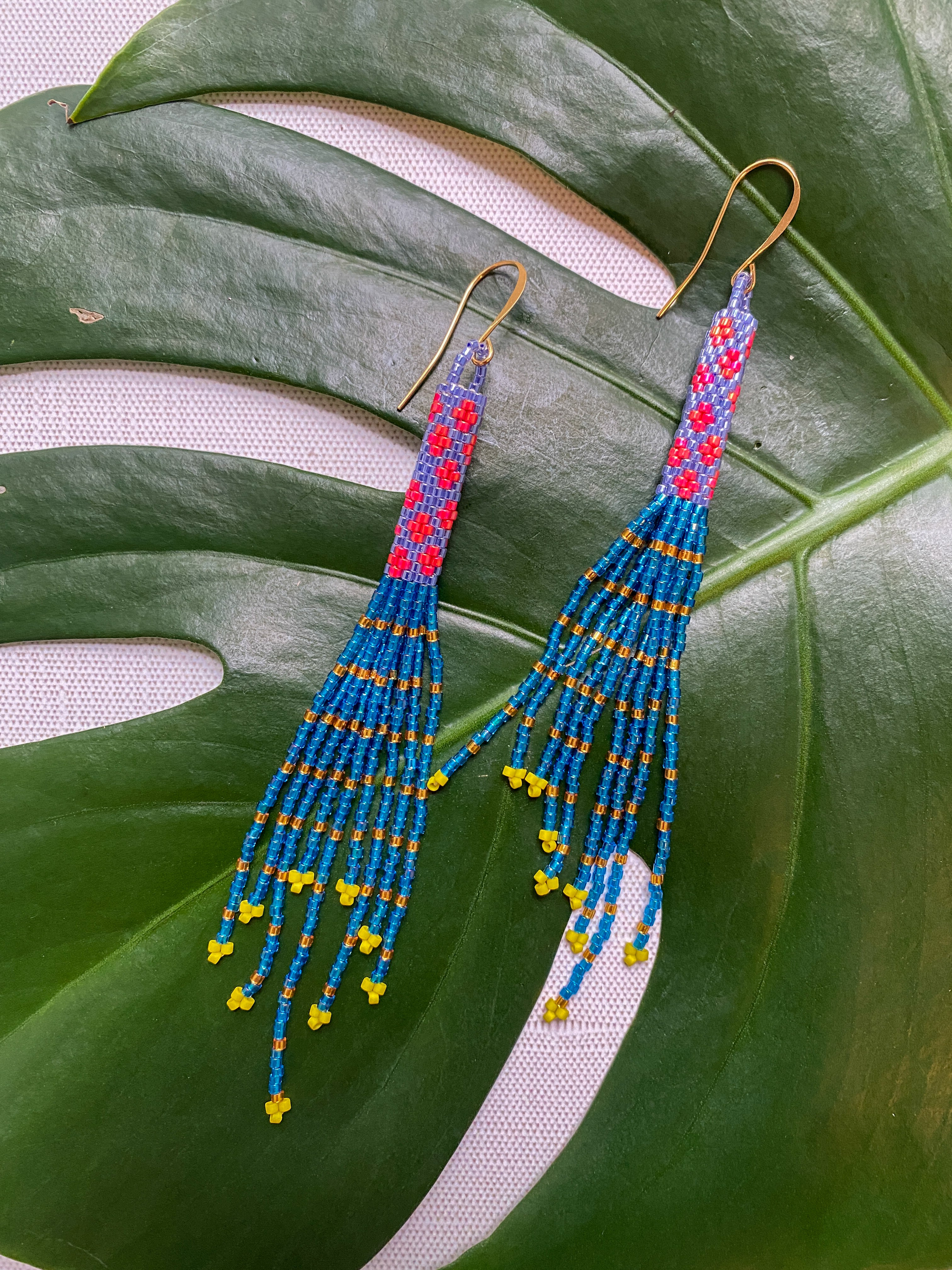 Eccentric Tassel Earrings