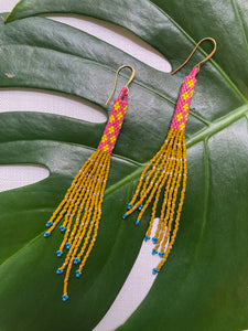 Eccentric Tassel Earrings