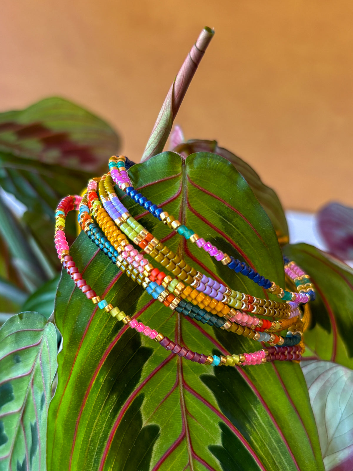 Wild You Bracelet