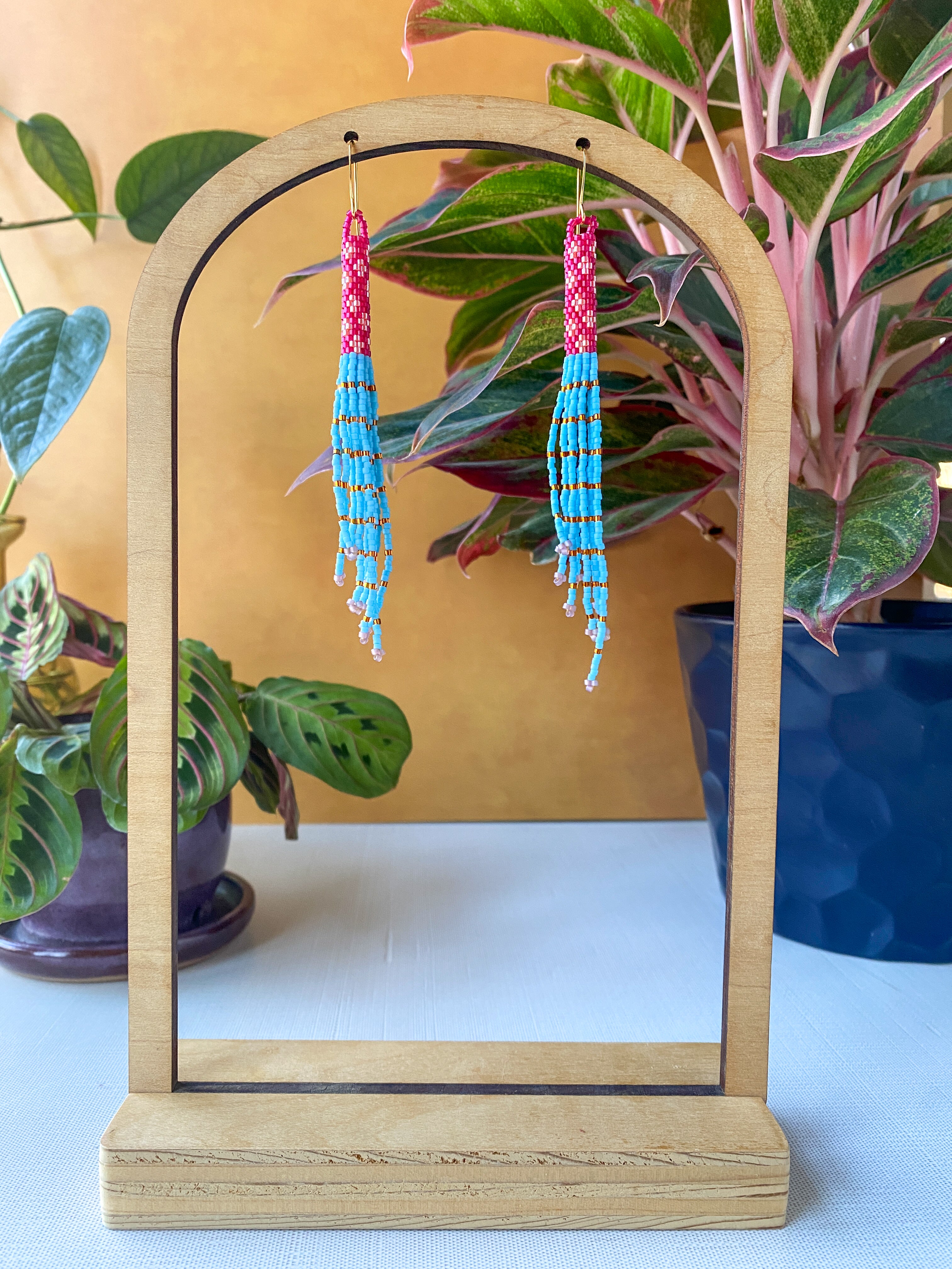 Eccentric Tassel Earrings